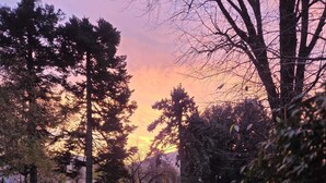A paved pathway leading to a park area with trees and a sunset in the background. - VILLA PARADIS B&B (Airuno)