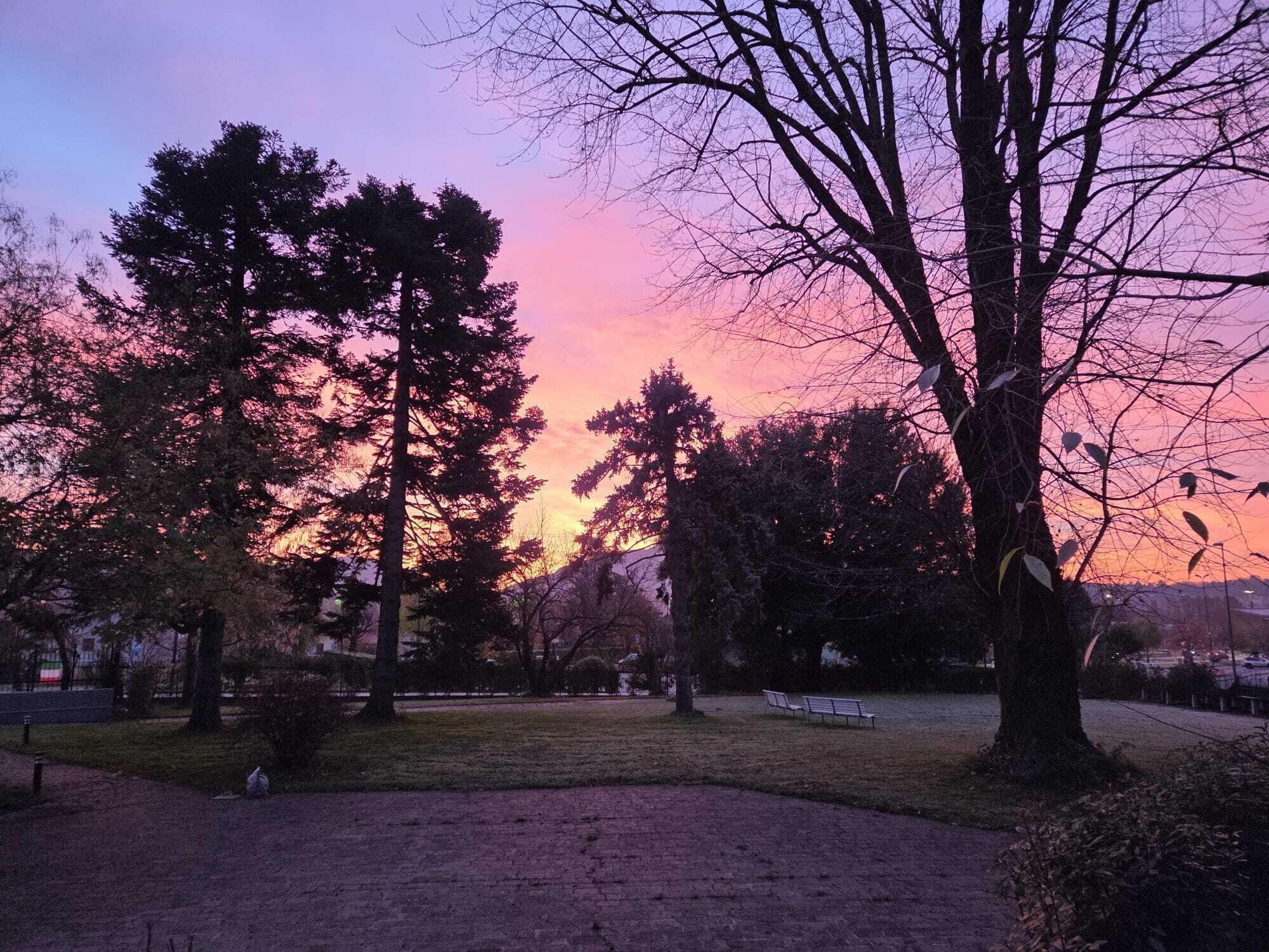 A park with trees and a bench.