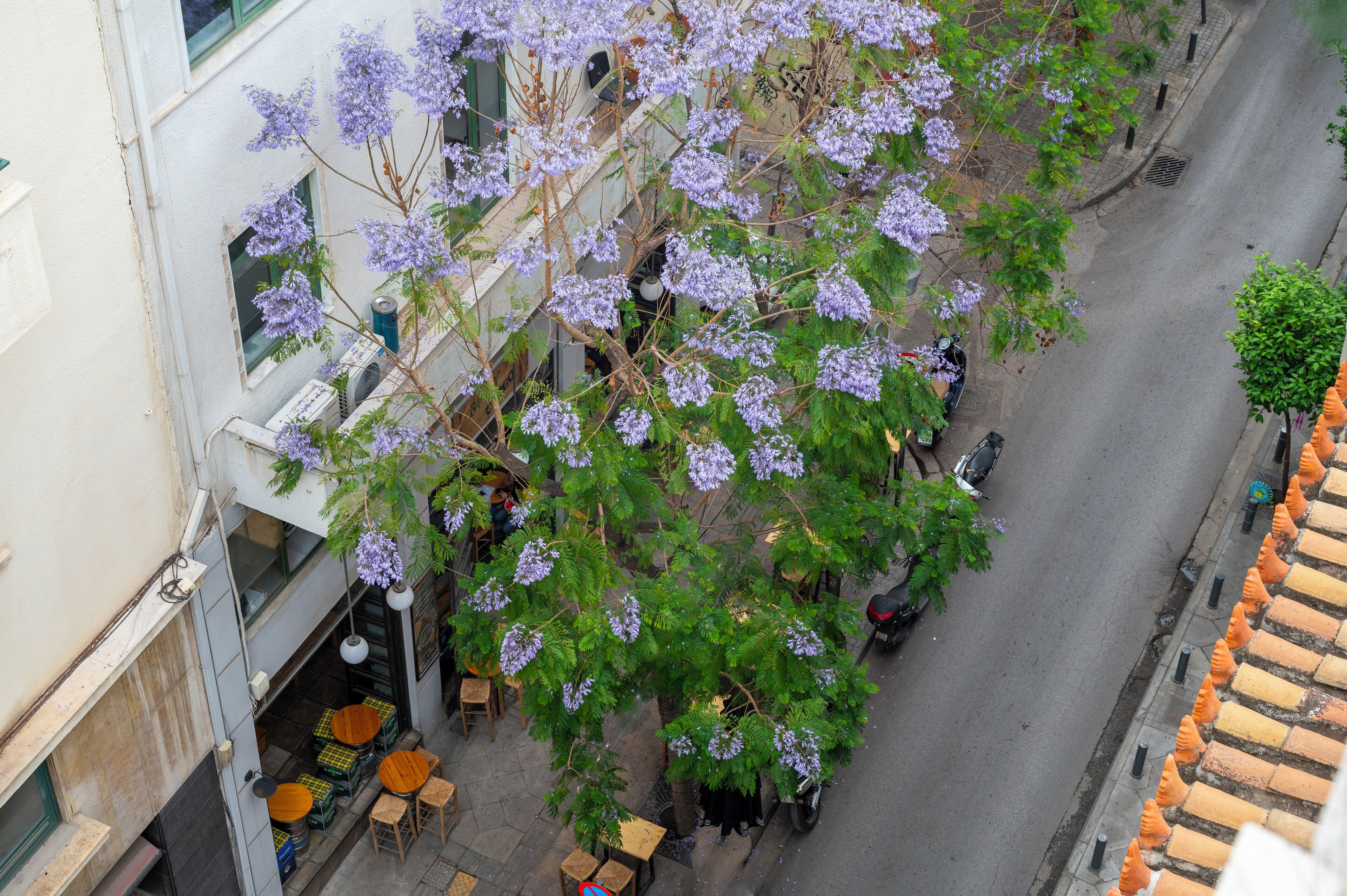 Premium Apartment with Hammam | Vista dalla camera