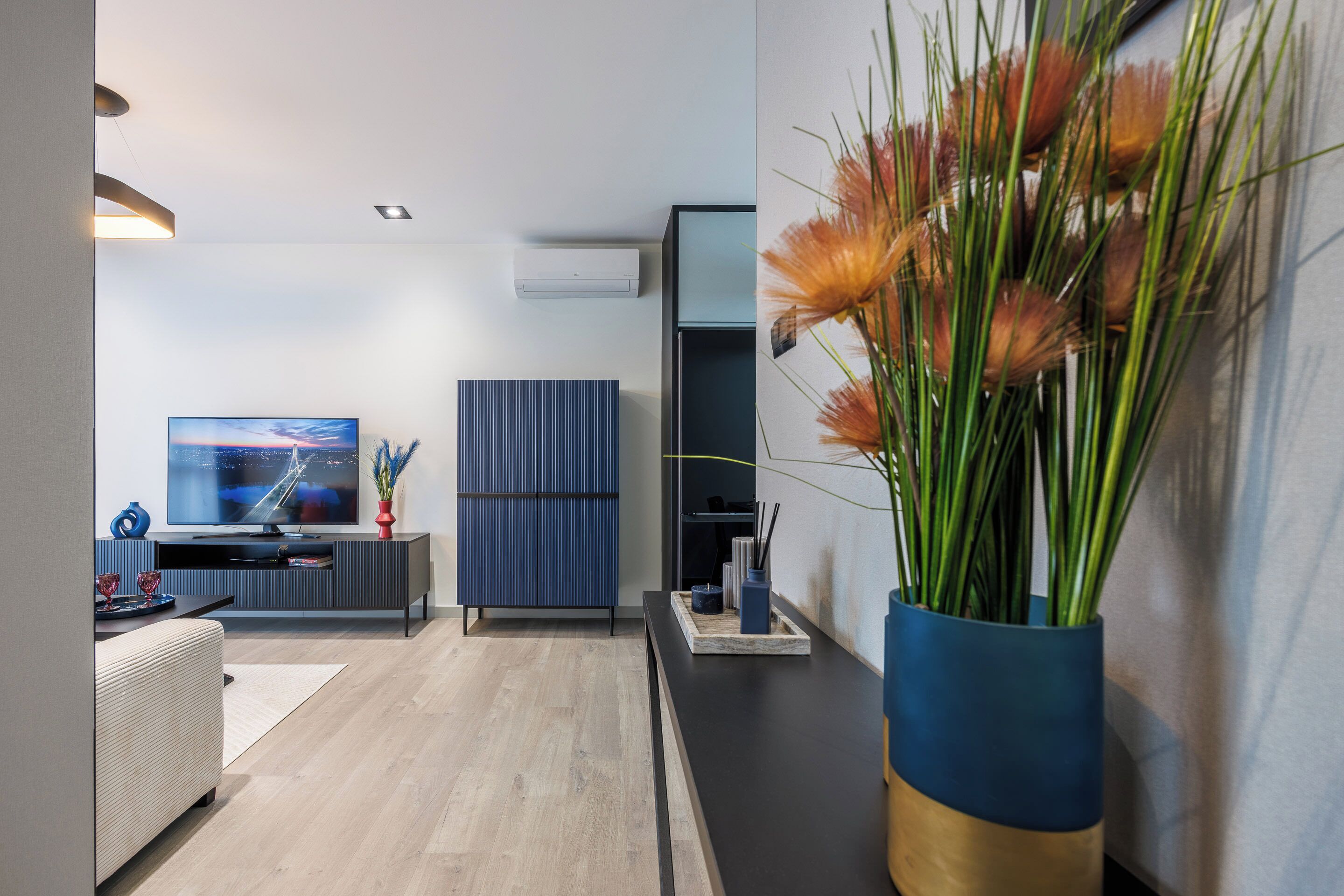 A modern living room with a flat-screen TV, a dark blue cabinet, and a decorative plant.