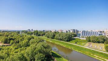 A river running through a park with trees and buildings in the background.
