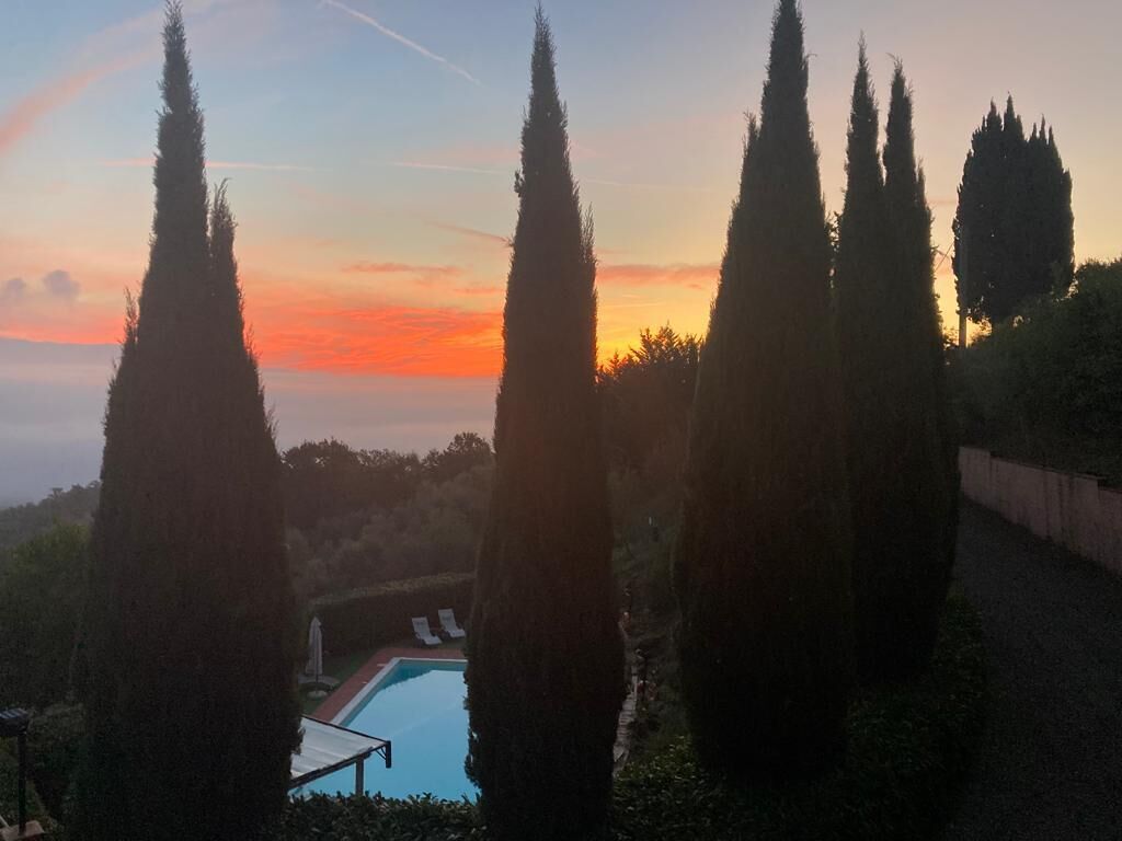 Una piscina rodeada de altos cipreses al atardecer.