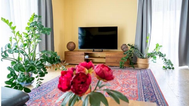A living room with a flat-screen TV on a wooden stand, surrounded by potted plants and a patterned rug. - Ferienhaus Marina (Weil am Rhein)