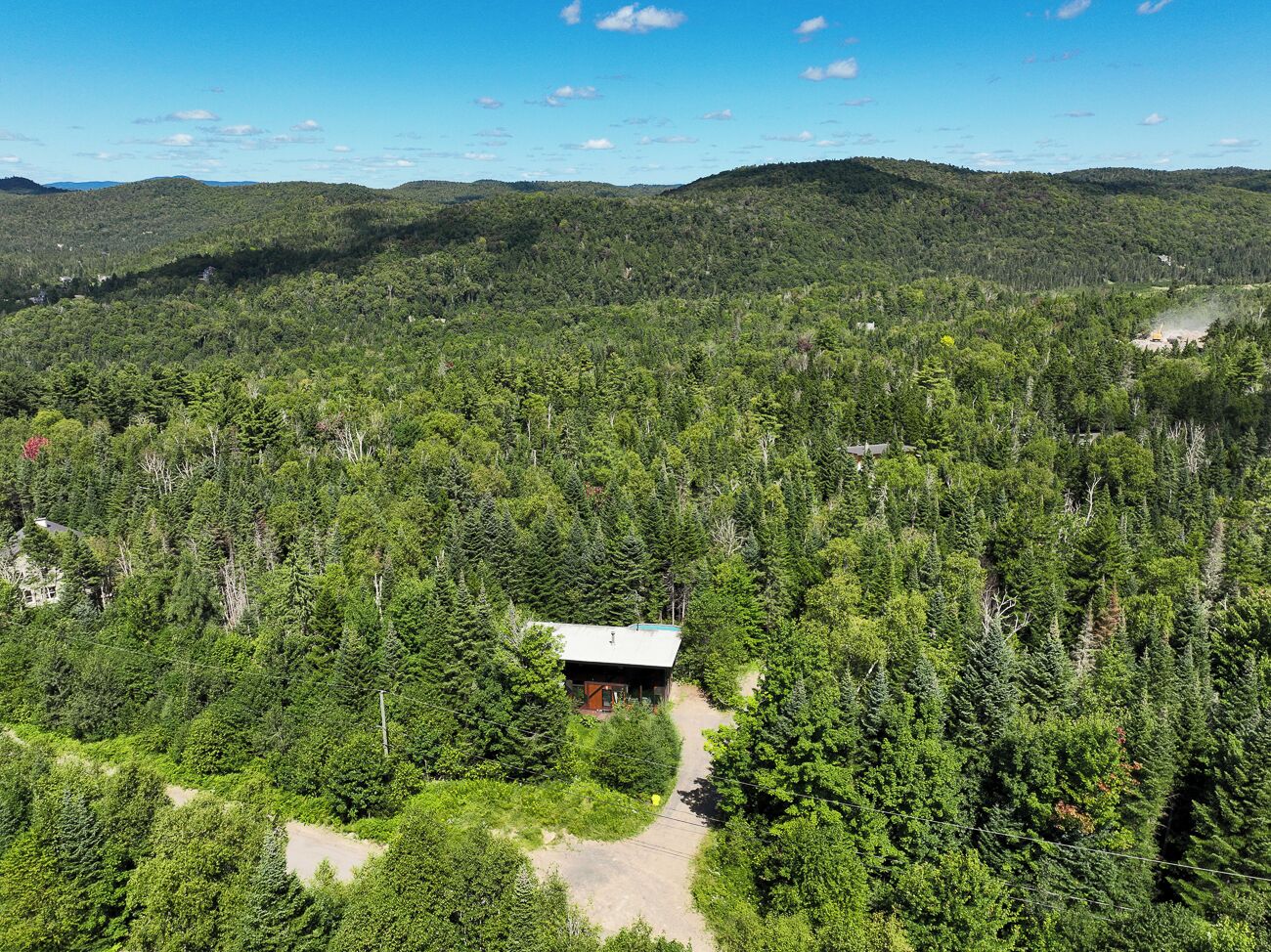 A cabin surrounded by dense forest, accessible by a dirt path.