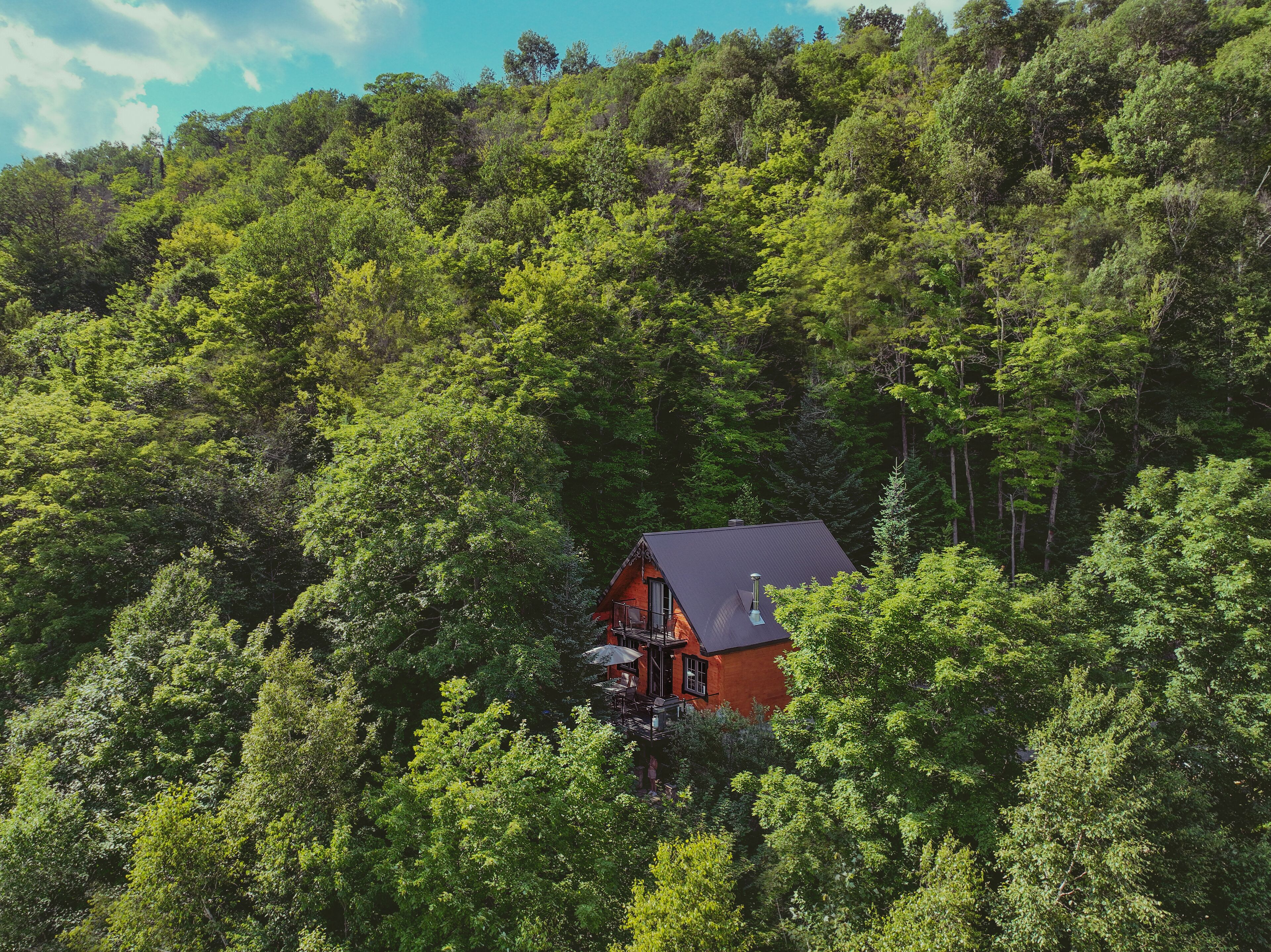 A cabin nestled among dense forest with a steep roof and a chimney, surrounded by lush greenery.