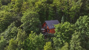 A cabin nestled among dense forest with a steep roof and a chimney, surrounded by lush greenery. - Super cute cedar chalet surrounded by the forest with access to water (Entrelacs)