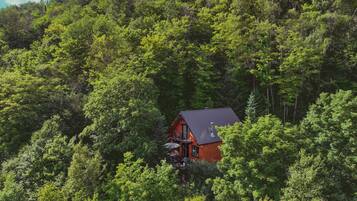 A cabin nestled among dense forest with a steep roof and a chimney, surrounded by lush greenery.