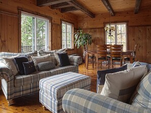 電視、壁爐、DVD 播放機