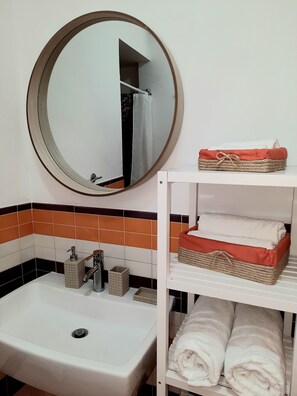 Shower, hair dryer, bidet, towels