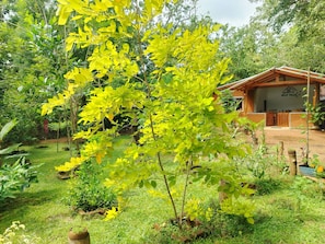 Jardin