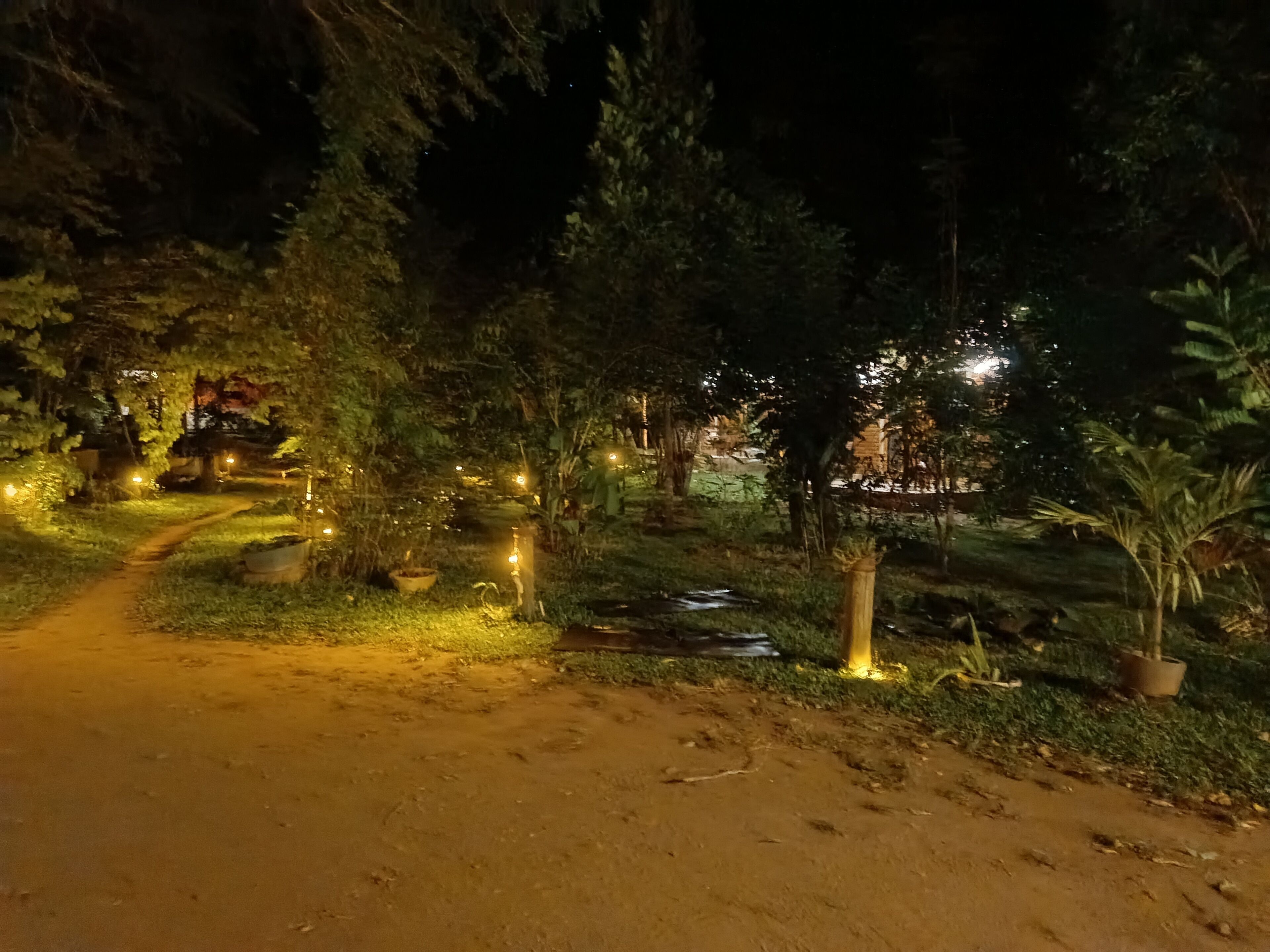 Un sendero en un jardín nocturno con plantas en macetas y luces pequeñas.
