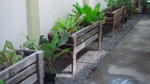 Wooden benches with potted plants arranged along a pathway.