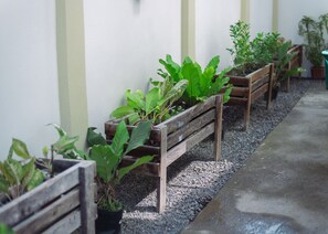 House | Property grounds