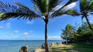 Un sentier côtier bordé de palmiers, avec un mur de pierres et une vue sur la mer.