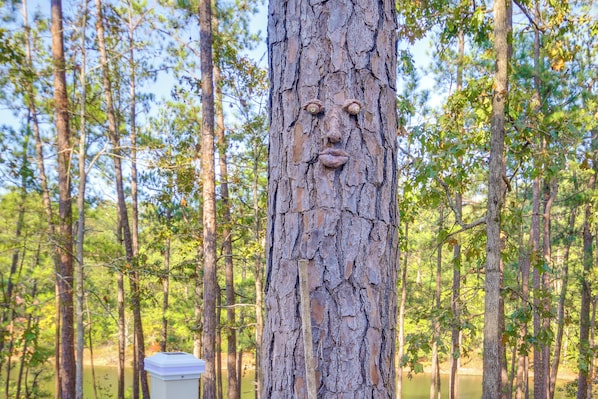 Apartamento (2 Bedrooms) | Interior