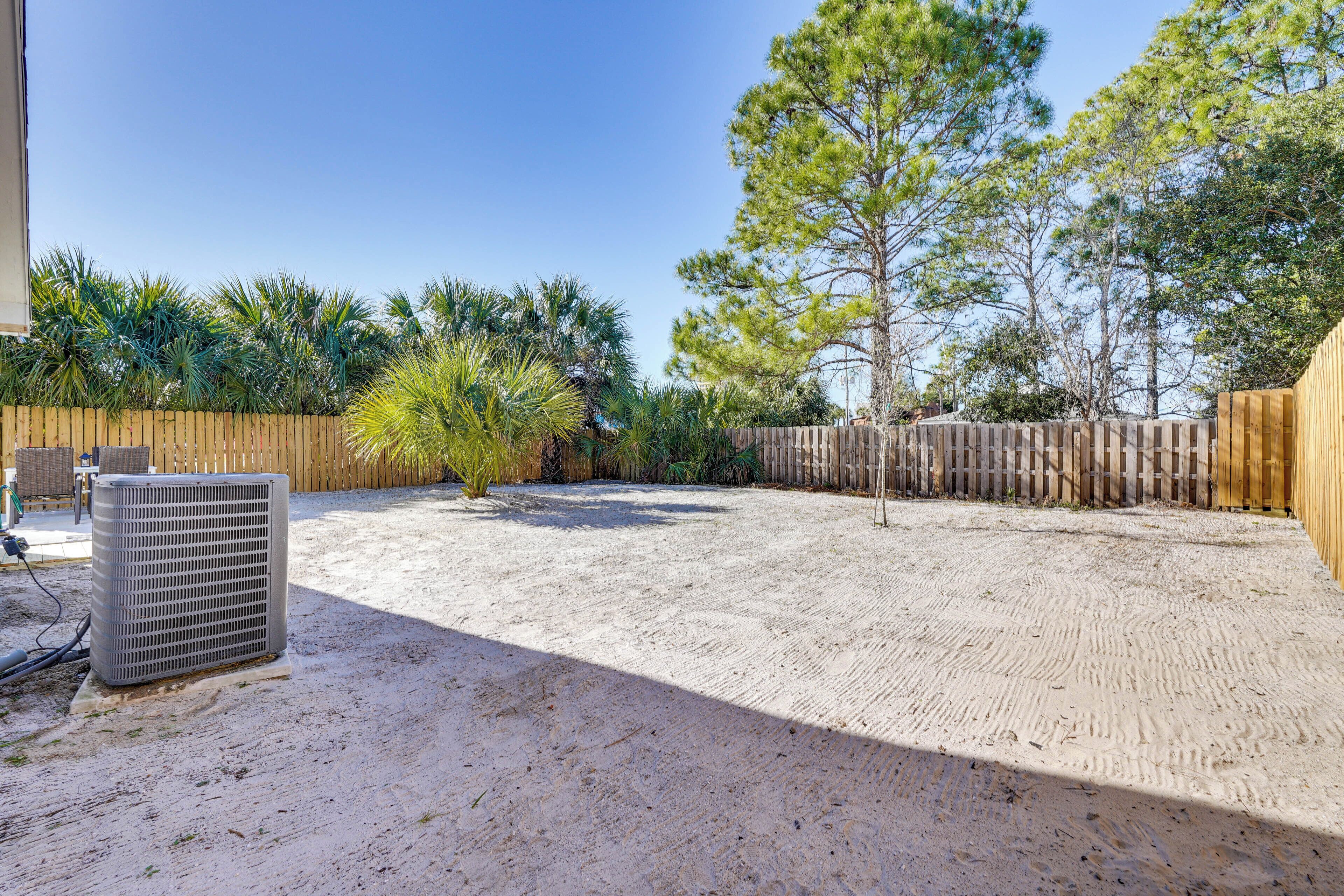 A sandy backyard with a wooden fence, a tall pine tree, and a small bush.