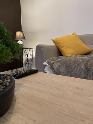 1 soverom og rullestolvennlig