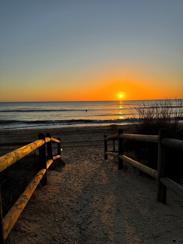 Serviettes de plage