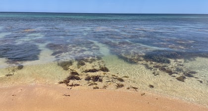 "Time to Chill" Binningup - Private & Peaceful location catering for all seasons