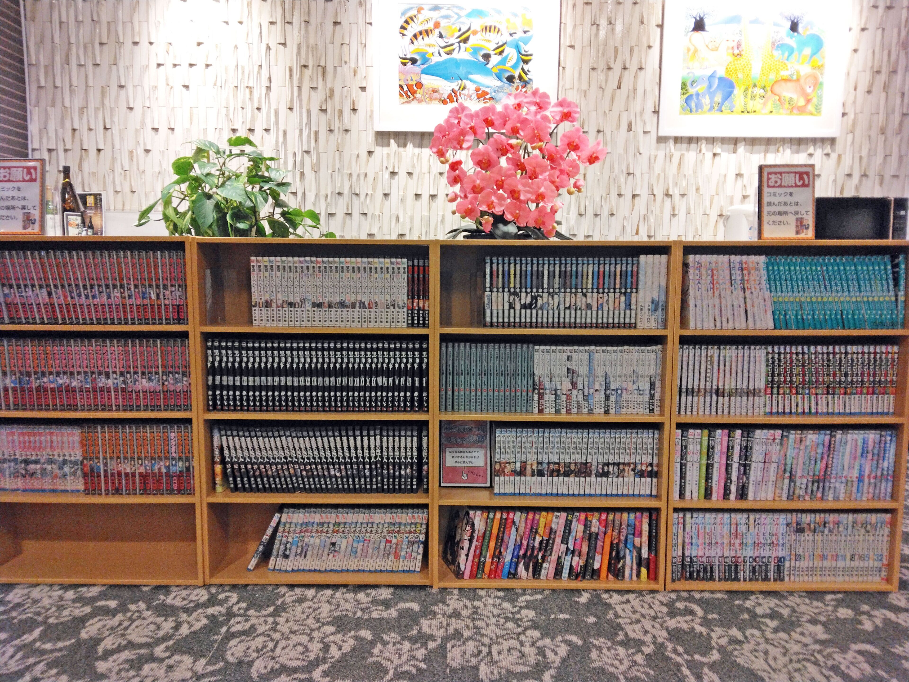Eine Bibliothek mit Bücherregalen voller Manga und anderer Bücher. Hinter den Bücherregalen befinden sich zwei große Gemälde an der Wand.