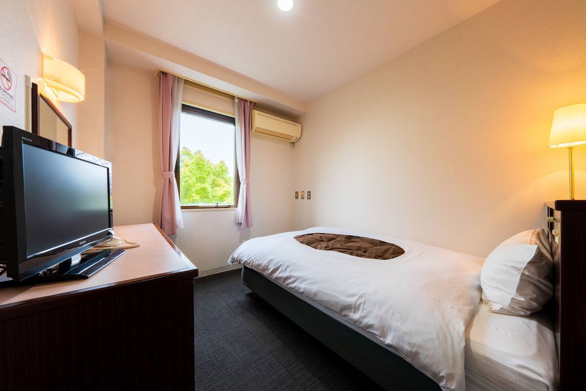 A hotel room with a bed, a desk with a television, and an air conditioning unit.