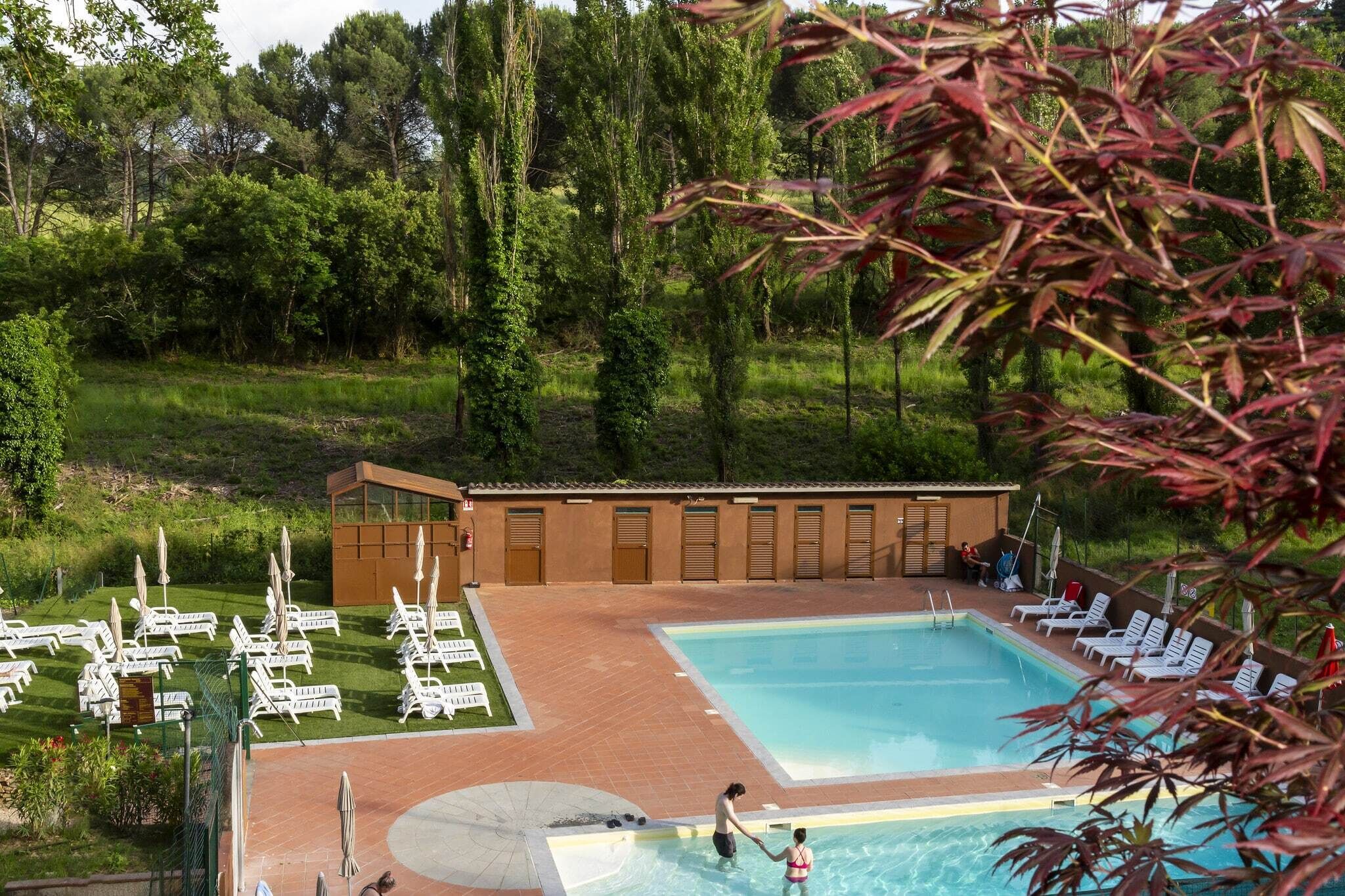 Piscina con tumbonas y un pequeño edificio, rodeado de árboles.