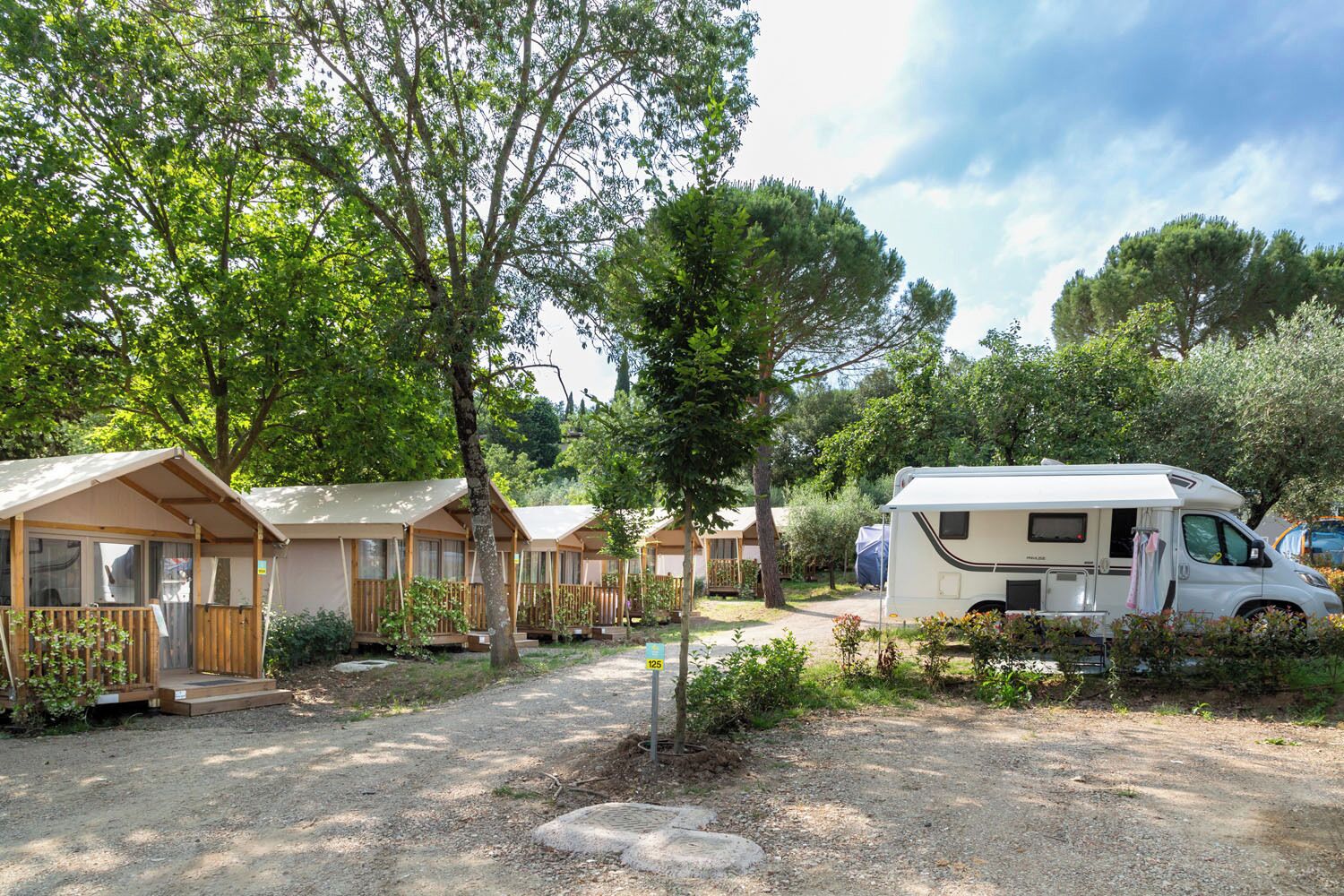 A campsite with RVs and mobile homes, surrounded by trees and greenery.