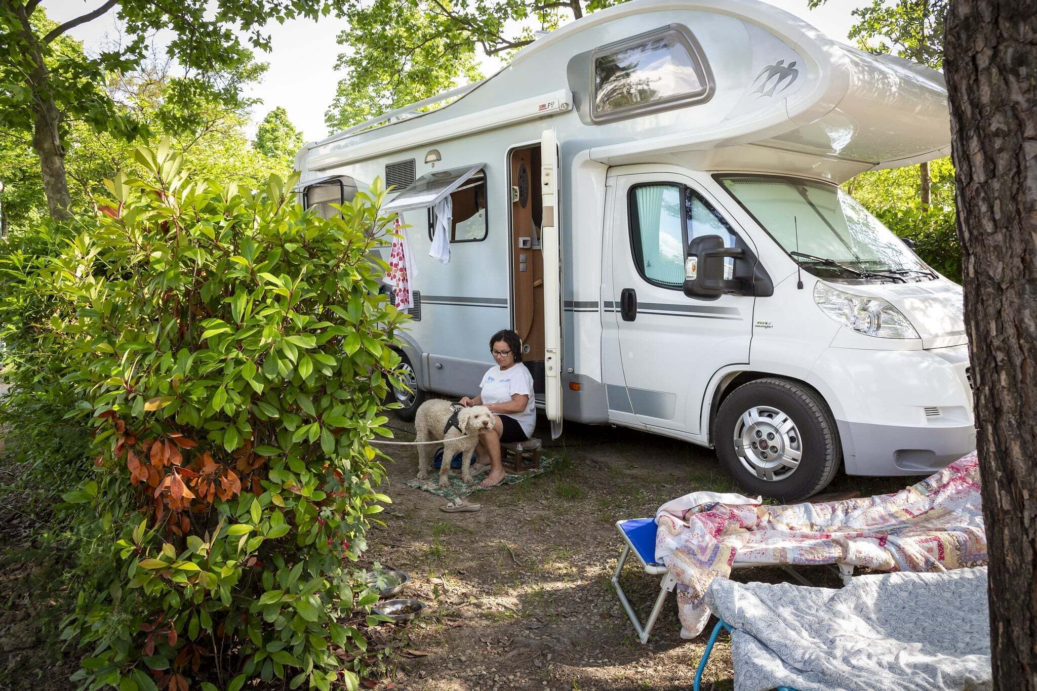 A white RV parked in a wooded area with a person sitting inside.