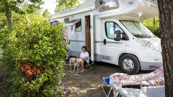 A white RV parked in a wooded area with a person sitting inside.