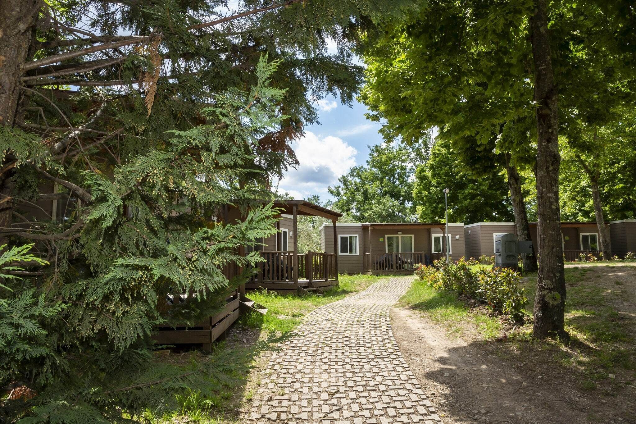 Een pad dat leidt naar een rij houten chalets, met een terras en een overdekt gedeelte.