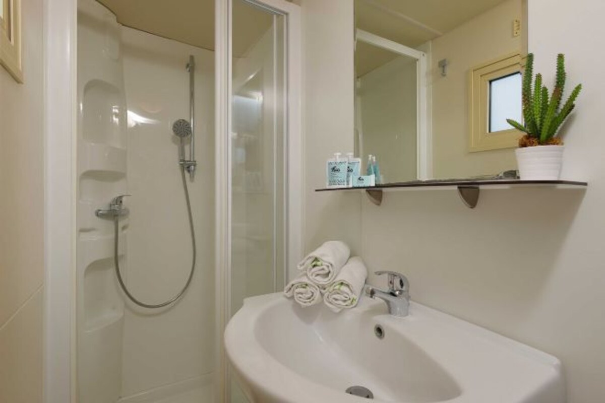 Een badkamer met een douche, wastafel en spiegel, inclusief een bloempot met plant.