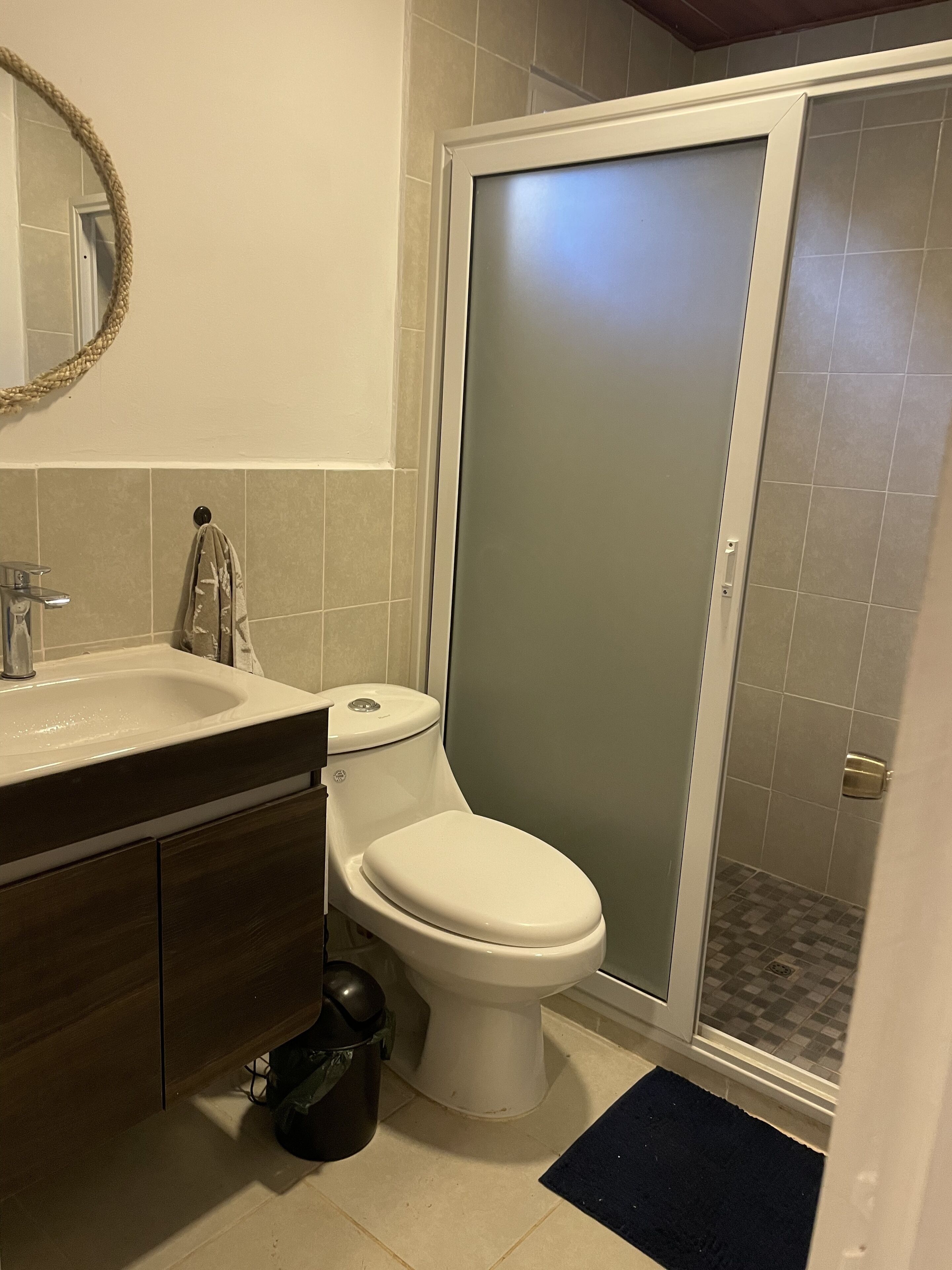A bathroom with a toilet, sink, and a shower enclosure.