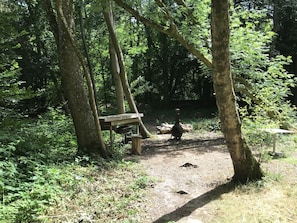 小屋 | 住宿场地