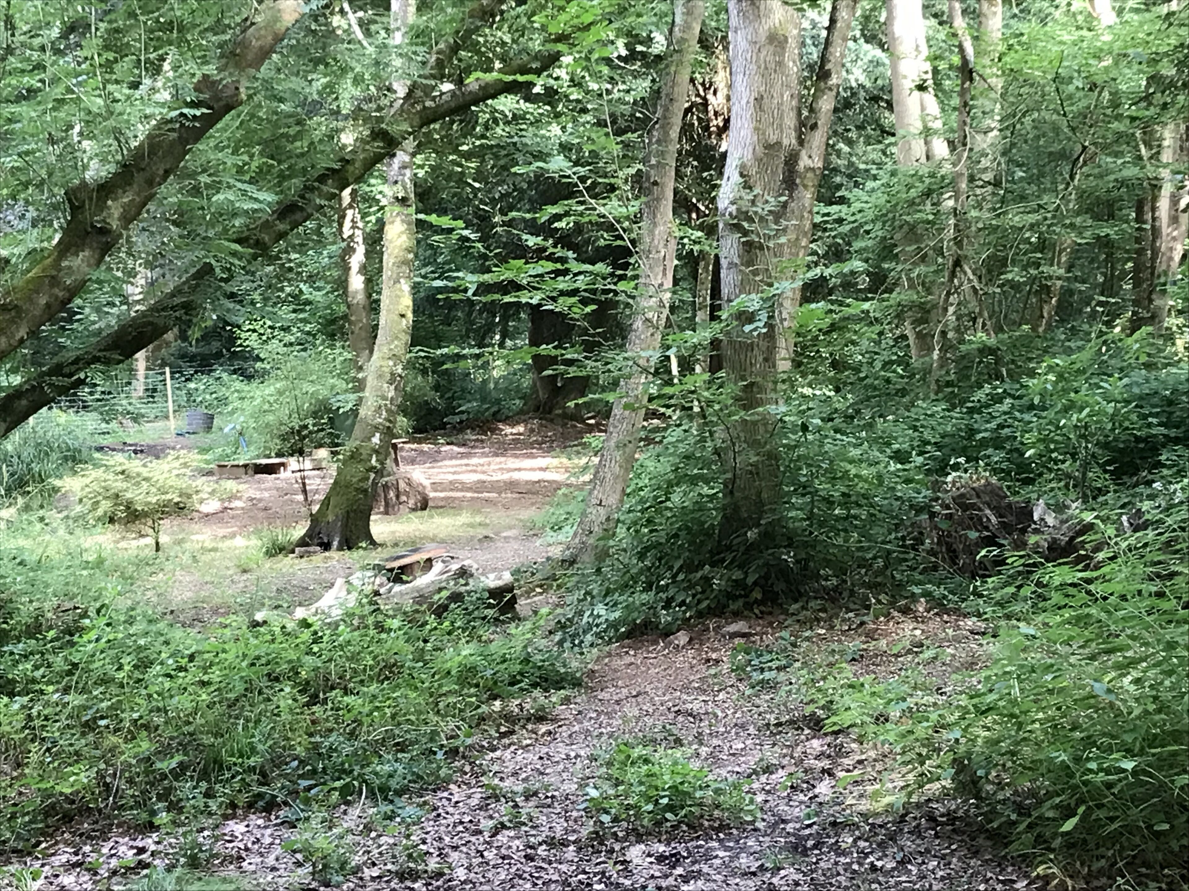 小屋 | 住宿一隅