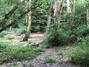 Cabin | Property grounds