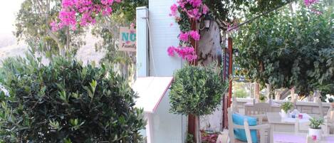Jardín
