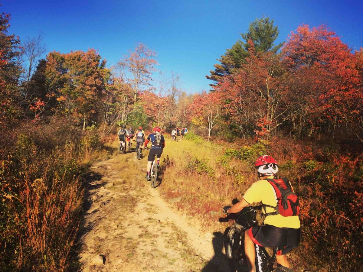 A group of cyclists on a dirt path surrounded by trees with autumn foliage.