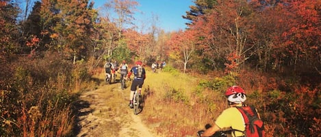 A group of cyclists on a dirt path surrounded by trees with autumn foliage.