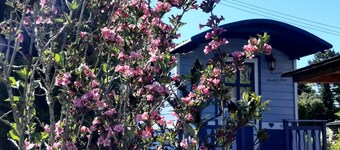 Cozy Little Blue Caravan in Scy Belgique