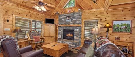 Televisie, een open haard, videospelletjes en een dvd-speler