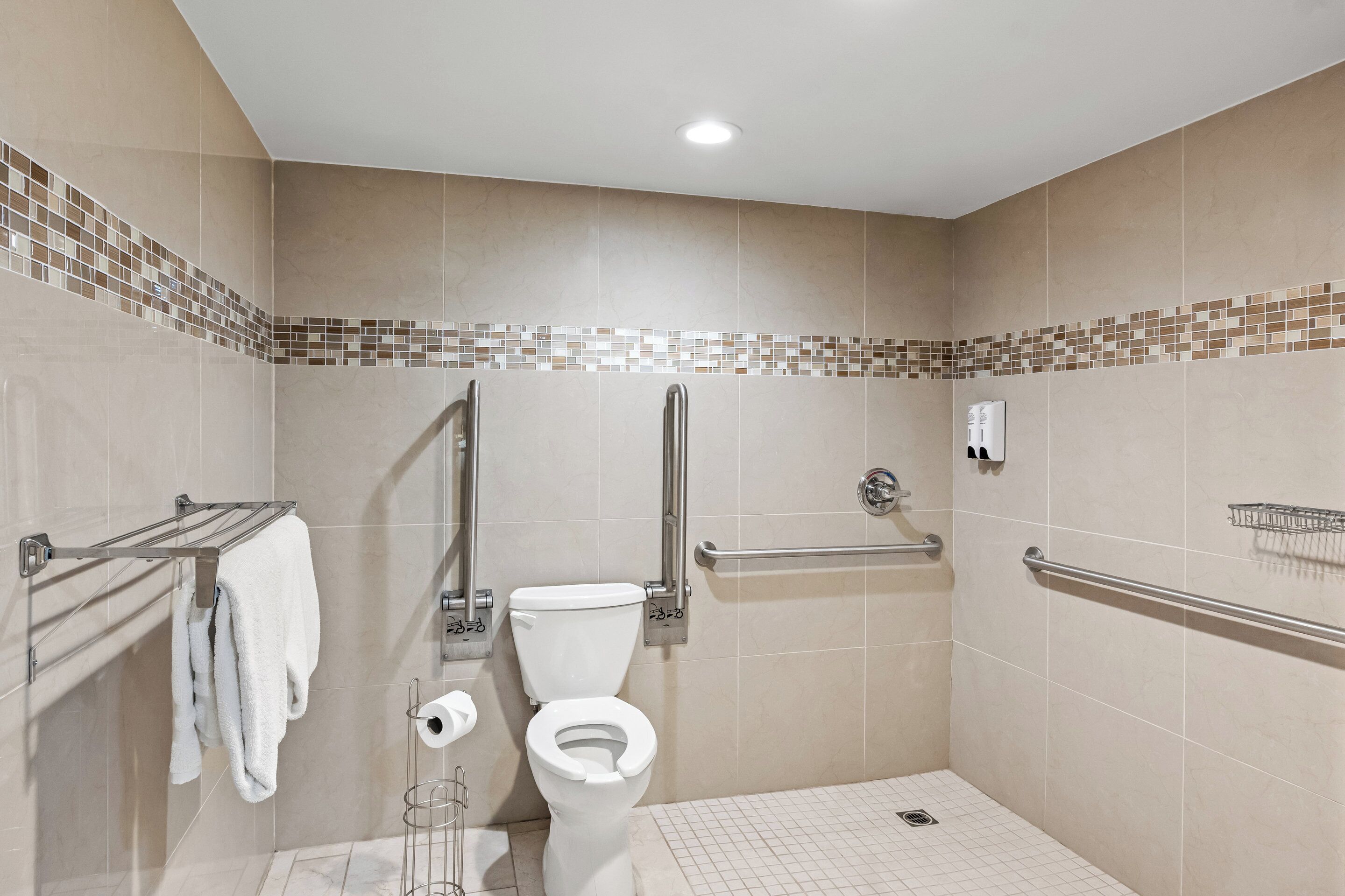 Een moderne badkamer met toilet, handgrepen, een handdoekhouder en een handdroger.