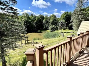 Property grounds - ~Epic Pond View - Hike, Cross County Ski, Explore!

 (Oakland)