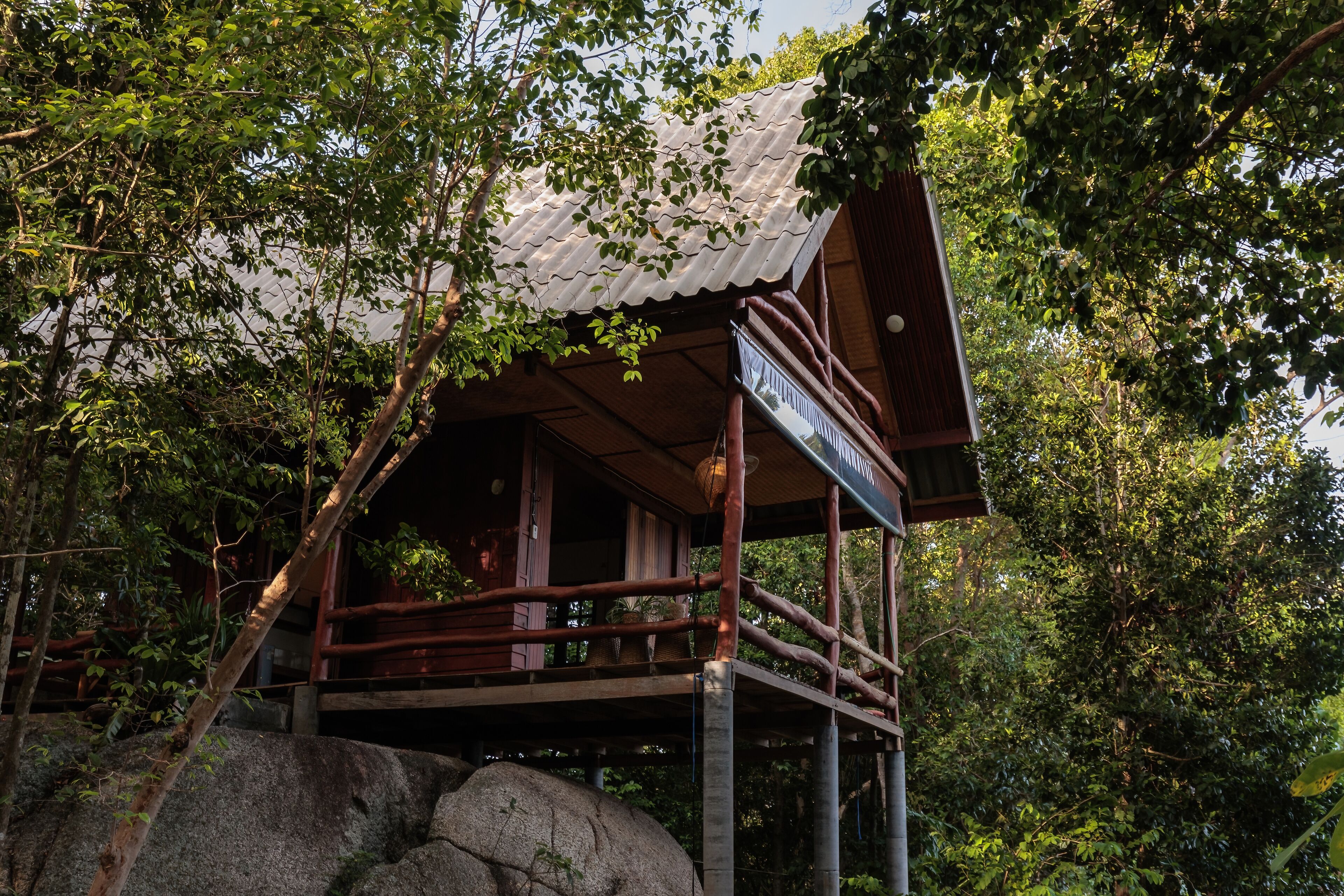 A wooden cabin with a metal roof, surrounded by dense foliage and large rocks.
