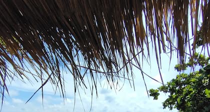 Whynam Beach