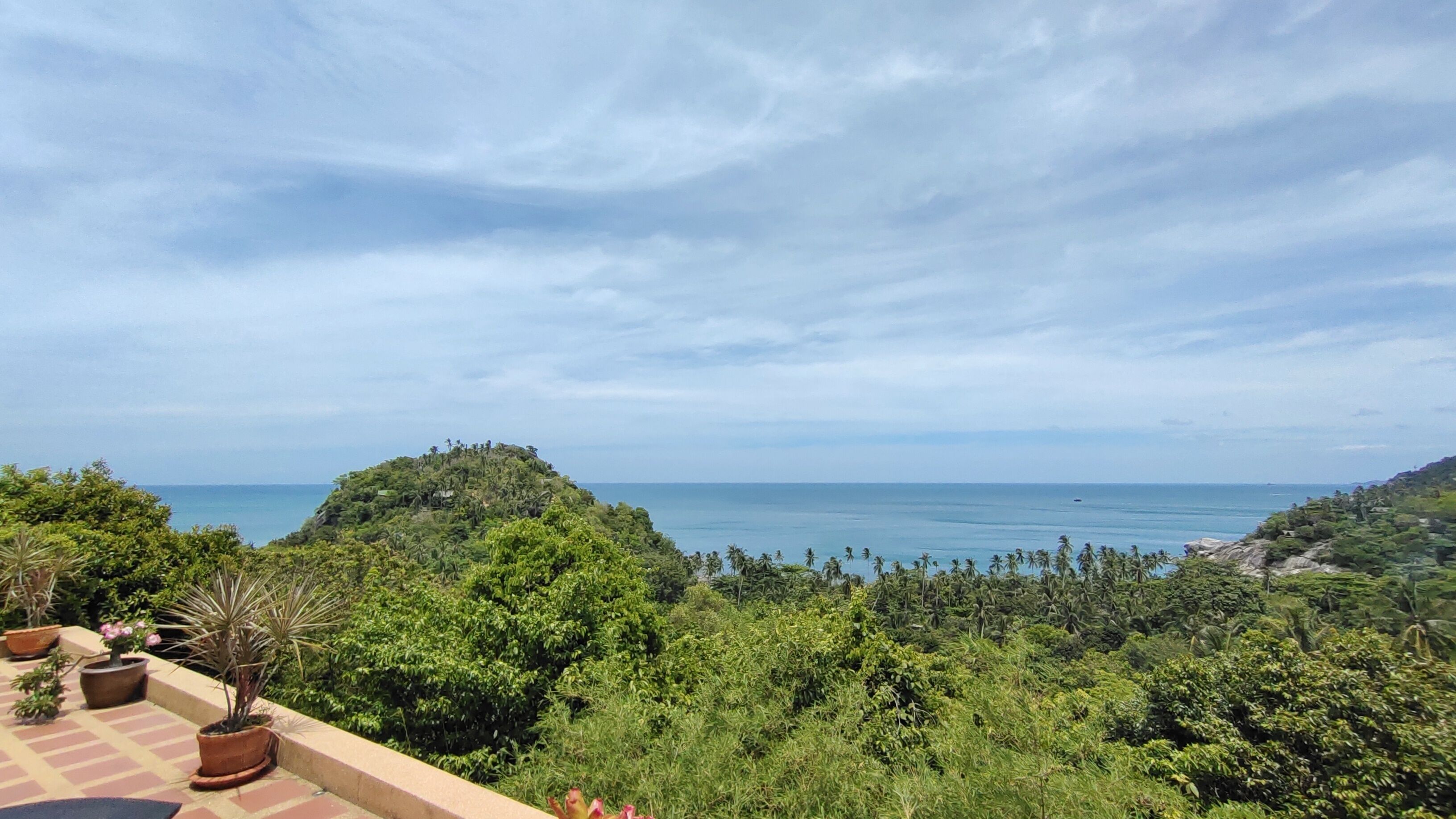 A lush green landscape with a view of the sea.