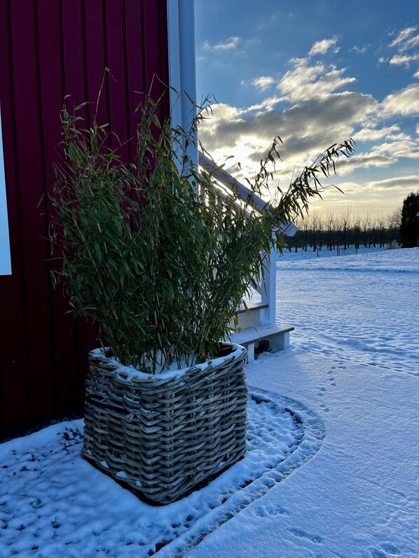 Warm winter moments unfold in a serene snow-covered setting, surrounded by lush greenery.