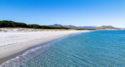 Apartment in front of the beach