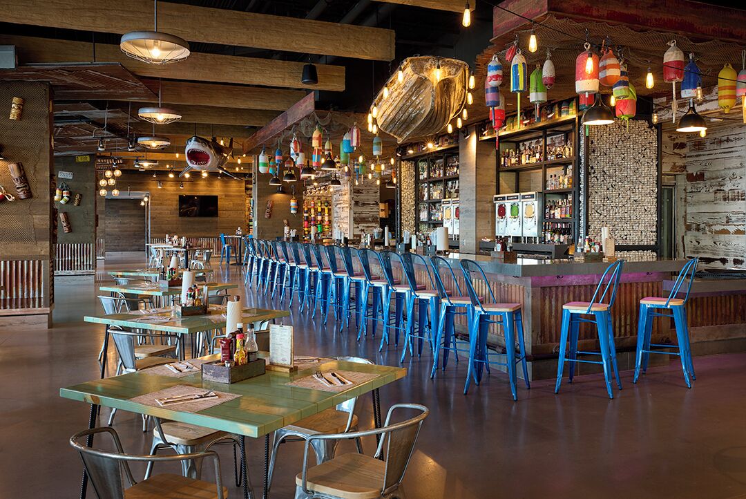 A restaurant with long communal tables and blue chairs, a bar area with shelves of bottles, and hanging decorative lights.