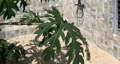 Cozy one bedroom studio