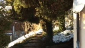 A pathway leading to a building with a tree in the foreground. - Le Petit Brit (Syens)